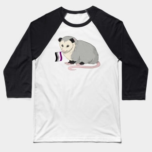 Asexual Pride Opossum Baseball T-Shirt